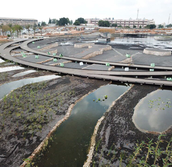 Petah Tikva Lake Park