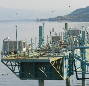 Kinneret Fountain 2011